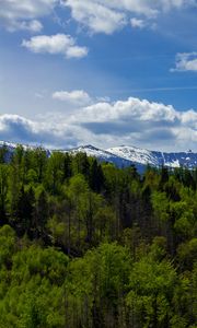 Preview wallpaper forest, trees, mountains, snow, landscape, clouds