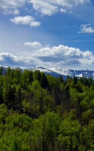Preview wallpaper forest, trees, mountains, snow, landscape, clouds