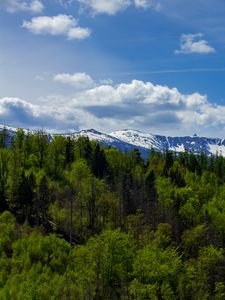 Preview wallpaper forest, trees, mountains, snow, landscape, clouds