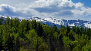 Preview wallpaper forest, trees, mountains, snow, landscape, clouds