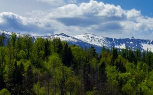 Preview wallpaper forest, trees, mountains, snow, landscape, clouds