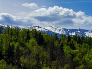 Preview wallpaper forest, trees, mountains, snow, landscape, clouds