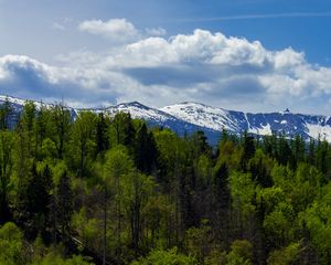 Preview wallpaper forest, trees, mountains, snow, landscape, clouds