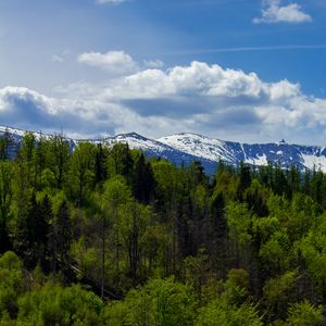Preview wallpaper forest, trees, mountains, snow, landscape, clouds