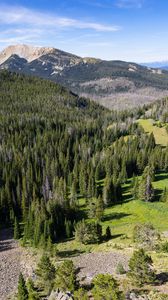 Preview wallpaper forest, trees, mountains, landscape, sky