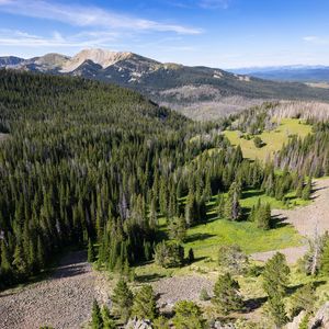 Preview wallpaper forest, trees, mountains, landscape, sky