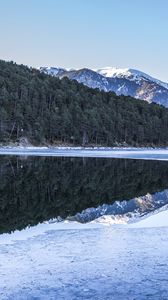 Preview wallpaper forest, trees, mountains, reflections, lake, snow