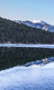 Preview wallpaper forest, trees, mountains, reflections, lake, snow