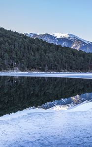 Preview wallpaper forest, trees, mountains, reflections, lake, snow