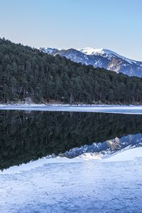 Preview wallpaper forest, trees, mountains, reflections, lake, snow