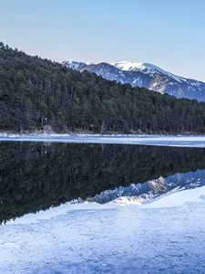 Preview wallpaper forest, trees, mountains, reflections, lake, snow