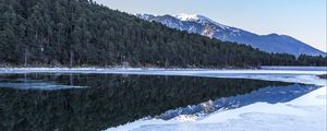 Preview wallpaper forest, trees, mountains, reflections, lake, snow