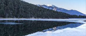 Preview wallpaper forest, trees, mountains, reflections, lake, snow