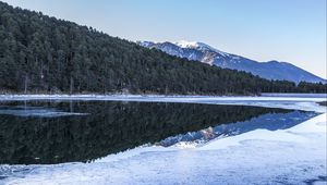 Preview wallpaper forest, trees, mountains, reflections, lake, snow