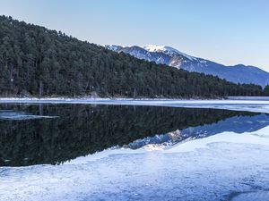 Preview wallpaper forest, trees, mountains, reflections, lake, snow