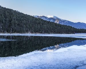 Preview wallpaper forest, trees, mountains, reflections, lake, snow