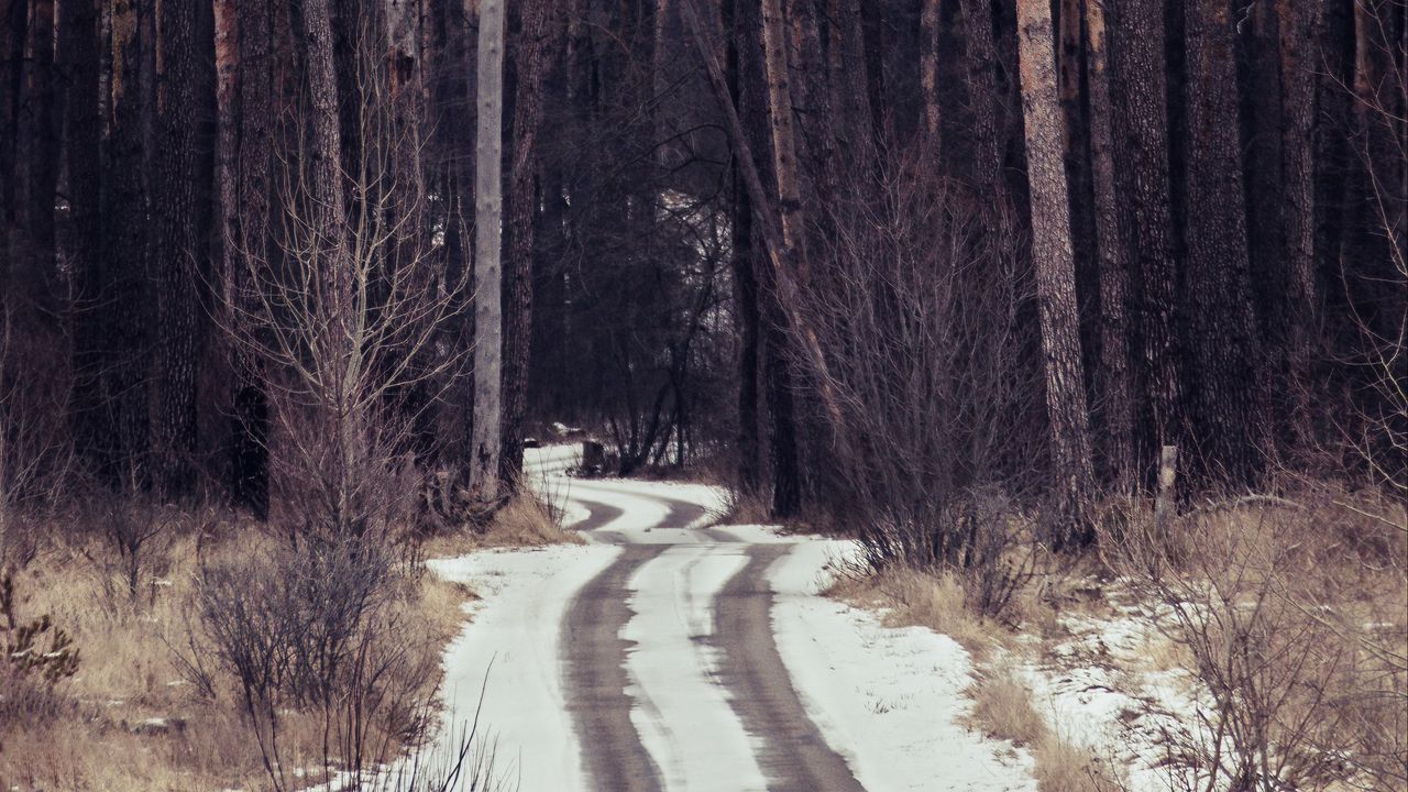 Wallpaper forest, trees, path, snow, traces