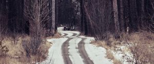 Preview wallpaper forest, trees, path, snow, traces