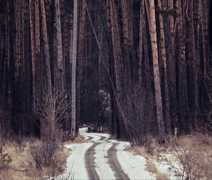 Preview wallpaper forest, trees, path, snow, traces