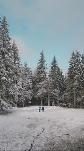 Preview wallpaper forest, trees, people, snow, winter