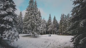 Preview wallpaper forest, trees, people, snow, winter