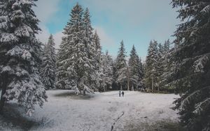 Preview wallpaper forest, trees, people, snow, winter