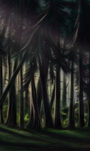Preview wallpaper forest, trees, pines, art, nature