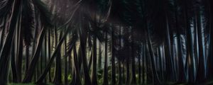 Preview wallpaper forest, trees, pines, art, nature