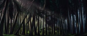 Preview wallpaper forest, trees, pines, art, nature