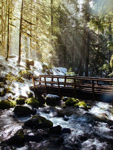 Preview wallpaper forest, trees, rays, sun, river, bridge, nature