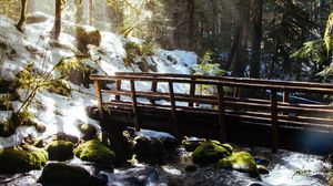 Preview wallpaper forest, trees, rays, sun, river, bridge, nature