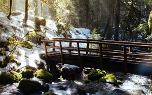 Preview wallpaper forest, trees, rays, sun, river, bridge, nature