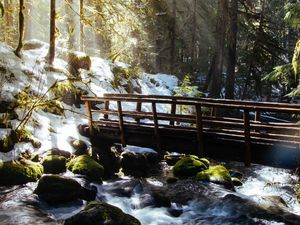 Preview wallpaper forest, trees, rays, sun, river, bridge, nature