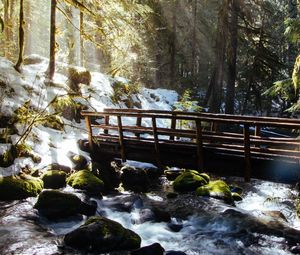 Preview wallpaper forest, trees, rays, sun, river, bridge, nature