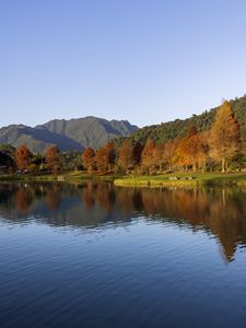 Preview wallpaper forest, trees, reflection, lake, mountains, landscape