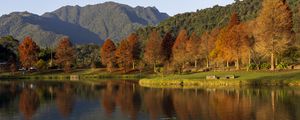 Preview wallpaper forest, trees, reflection, lake, mountains, landscape