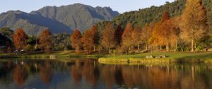 Preview wallpaper forest, trees, reflection, lake, mountains, landscape