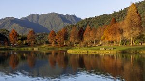 Preview wallpaper forest, trees, reflection, lake, mountains, landscape