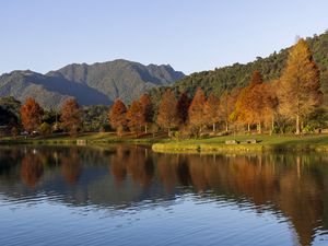 Preview wallpaper forest, trees, reflection, lake, mountains, landscape