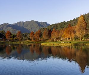 Preview wallpaper forest, trees, reflection, lake, mountains, landscape