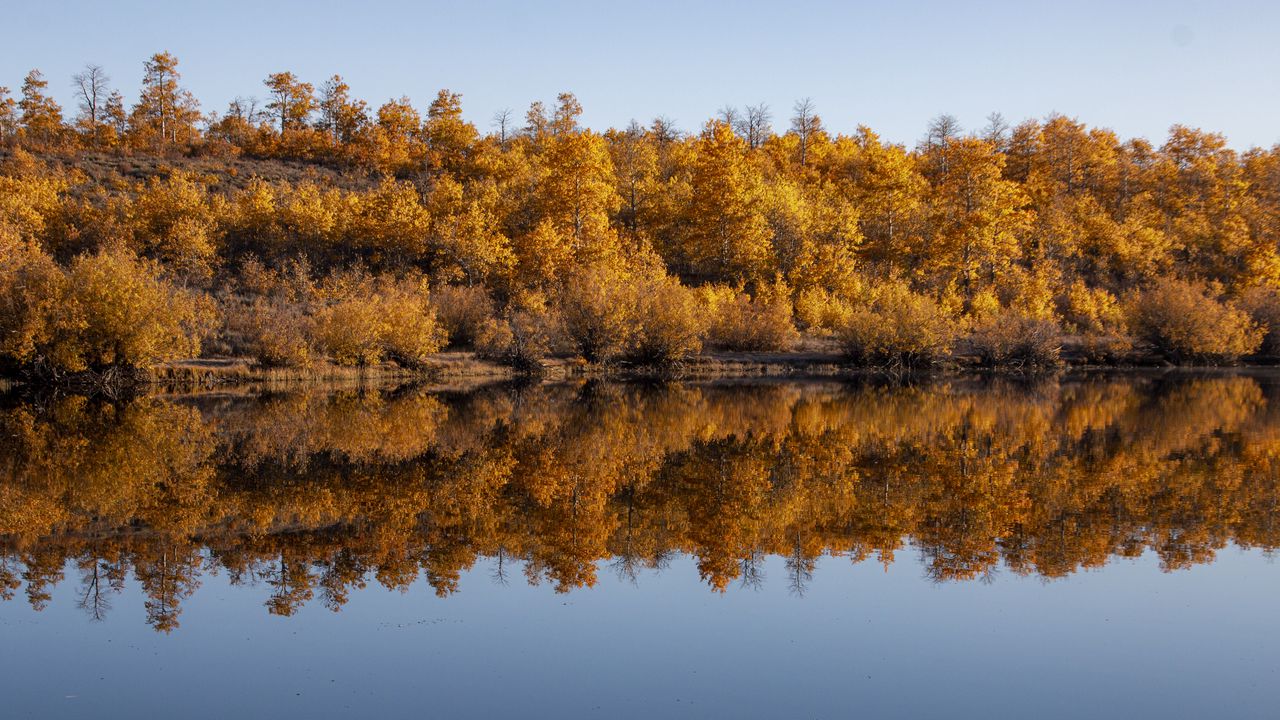 Wallpaper forest, trees, reflection, autumn, lake