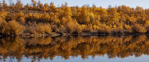 Preview wallpaper forest, trees, reflection, autumn, lake