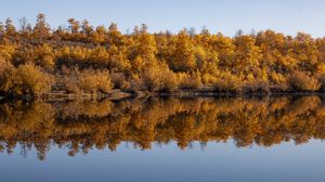 Preview wallpaper forest, trees, reflection, autumn, lake