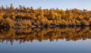 Preview wallpaper forest, trees, reflection, autumn, lake