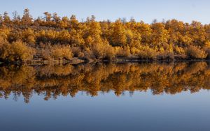 Preview wallpaper forest, trees, reflection, autumn, lake