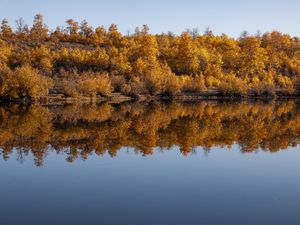 Preview wallpaper forest, trees, reflection, autumn, lake