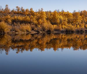 Preview wallpaper forest, trees, reflection, autumn, lake