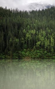 Preview wallpaper forest, trees, reflection, river, nature, landscape, clouds