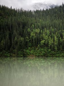 Preview wallpaper forest, trees, reflection, river, nature, landscape, clouds