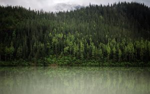 Preview wallpaper forest, trees, reflection, river, nature, landscape, clouds